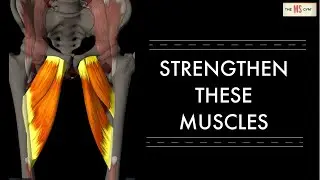 Strengthen Your Inner Thigh Muscles To Move Better - Multiple Sclerosis Exercise