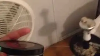 Tangiers cane mint starbuzz challenger hookah