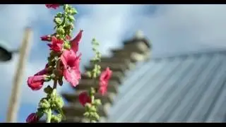 Sony FS5 RAW Grading Test