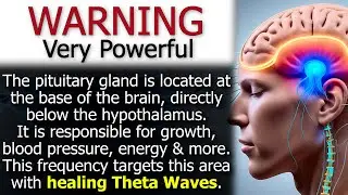 Healing Pituitary Gland EMDR QT4 Theta Wave Technology
