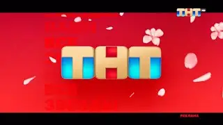 Заставка ТНТ HD (Весна 2023)