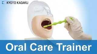 Oral Care Trainer M89 Kyoto Kagaku