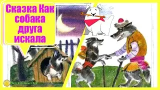 Сказка Как собака друга искала