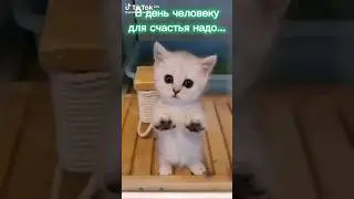 что для счастье надо человеку!