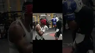 Devin Haney - Sparring | Best Combinations
