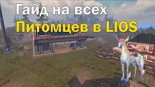 ГАЙД НА ВСЕХ ПИТОМЦЕВ В LIOS 