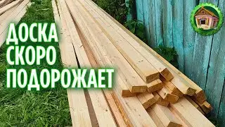 Готовимся к летней стройке. Сколько будут стоить доски летом? 277 серия