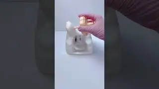 FUFUSQUISHY ASMR 🐱🐱Cat