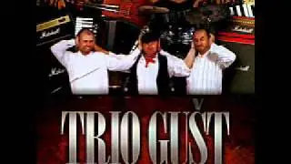 Trio Gust - Pop mix 2007.  (pjesme za veselje)