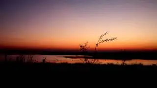 Project 46 - Faces (Original Mix)
