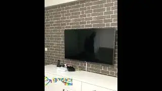 Taş Desenli Duvar Kağıdı