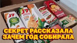 У РАССАДЫ МОЩНАЯ КОРНЕВАЯ В ТАКИХ СТАКАНЧИКАХ 
