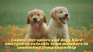 Canine therapists and dogs have emerged as valuable team members in counseling companionship