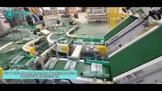 Twin hopper BIB secondary packing machine | corn seed 2kg*20 bags