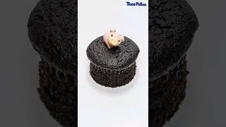 Pig greedily eats cupcake