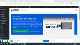 How to Setup the Setting in the AIOSEO PRO - All In One SEO Pro plugin