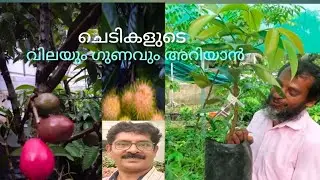 Exotic -Fruit പഴവർഗങ്ങളെ അടുത്തറിയാം9846769044