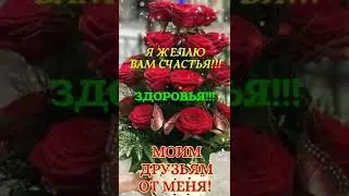 24 февраля 2022 г.