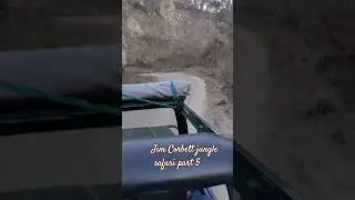 Jim Corbett jungle safari part 5 #music #rap #newmusic  #reels
