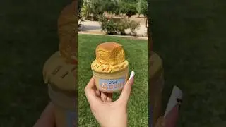 I Made a Corgi Slime for My Dog Buns 🍞🤭