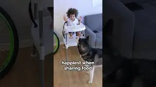 sharing food with moon is funny