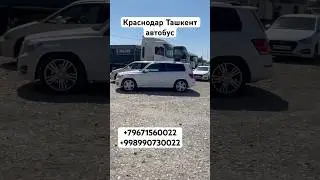 Краснодар Ташкент автобус пассажирский перевозка 