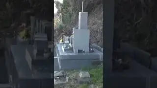 🌸 Forgotten Graves: A Hidden Cemetery Above Yui - softypapa shorts ⛰️🇯🇵🕊️