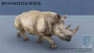 Rhinoceros animation free for Lumion | Lumion Easy