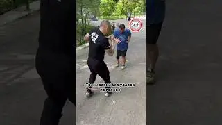 Тренировки без ударов по голове #бокс #тренировки #удары