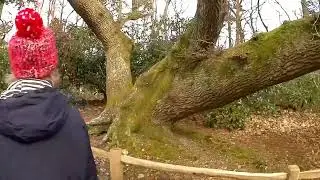Norfolk Adventure. February 2023. Woodland Park Walk. Sheringham.