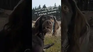 Перший арм fpv дрона після нової прошивки