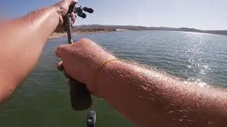 Labor Day Flutter Spoon bite at Alamo lake