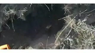 Последнее видео.