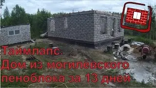 Таймлапс. Стены дома из пеноблока.