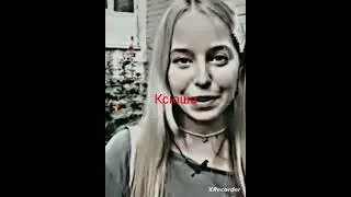 Главные участники шгш