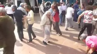 bernie sanders dancing