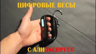Электронные весы с AliExpress. Проверяем точность.