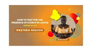 HOW TO TEST FOR THE PRESENCE OF STARCH IN LEAVES - 
