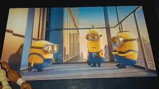 Minions!(party with WWE figures)