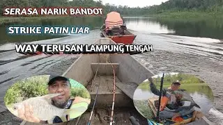 SERASA NARIK BANDOT! STRIKE PATIN LIAR WAY TERUSAN LAMPUNG TENGAH #fishing #mancingliar