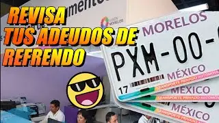 COMO CHECAR ADEUDOS DE TENENCIA EN MORELOS /ADEUDO DE REFRENDO MORELOS