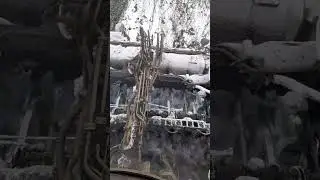Уборка сахарной свеклы (подснежники)