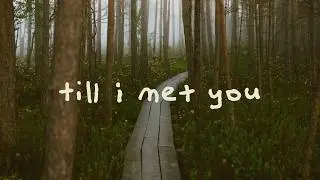 Said The Sky & good problem - Till I Met You (lyrics)