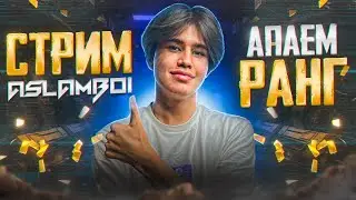 ASLAMBOI SOKNMASDAN STRIM? KONKURSGA START BERAMZ