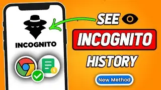How To See Incognito History On Google Chrome On Android (2024 Updated)