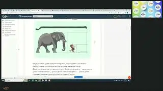 Вебинар 30 мая 2023г.