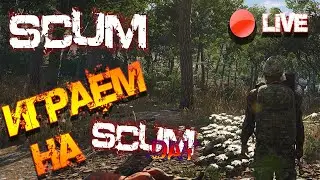 SCUM СТРИМ | ОХОТА НА ДЕМ... КАРТОЧКИ НА SCUM DAY!