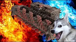 🔴 НАШЕСТВИЕ СОБАК 
