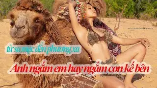 Hot model_Từ Sa mạc cho đến biển xa_Model Kỳ Linh