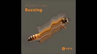 Joyce Muniz - Dressed In Secrets